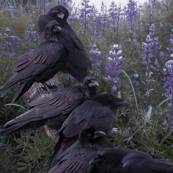 Meet your Posher, Jessica - Picture 9 of 12